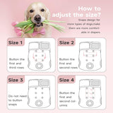 Paw Legend - Pañales reutilizables para perro hembra, 3 unidades