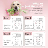 Paw Legend - Pañales reutilizables para perro hembra, 3 unidades