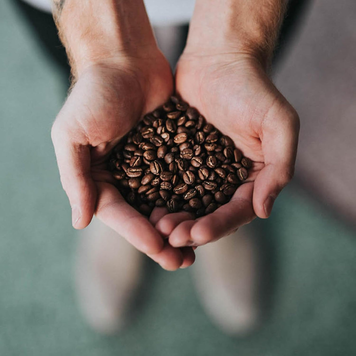 Café Molido Descafeinado Penny Pincher's, 5 lb, Coffee Bean Direct