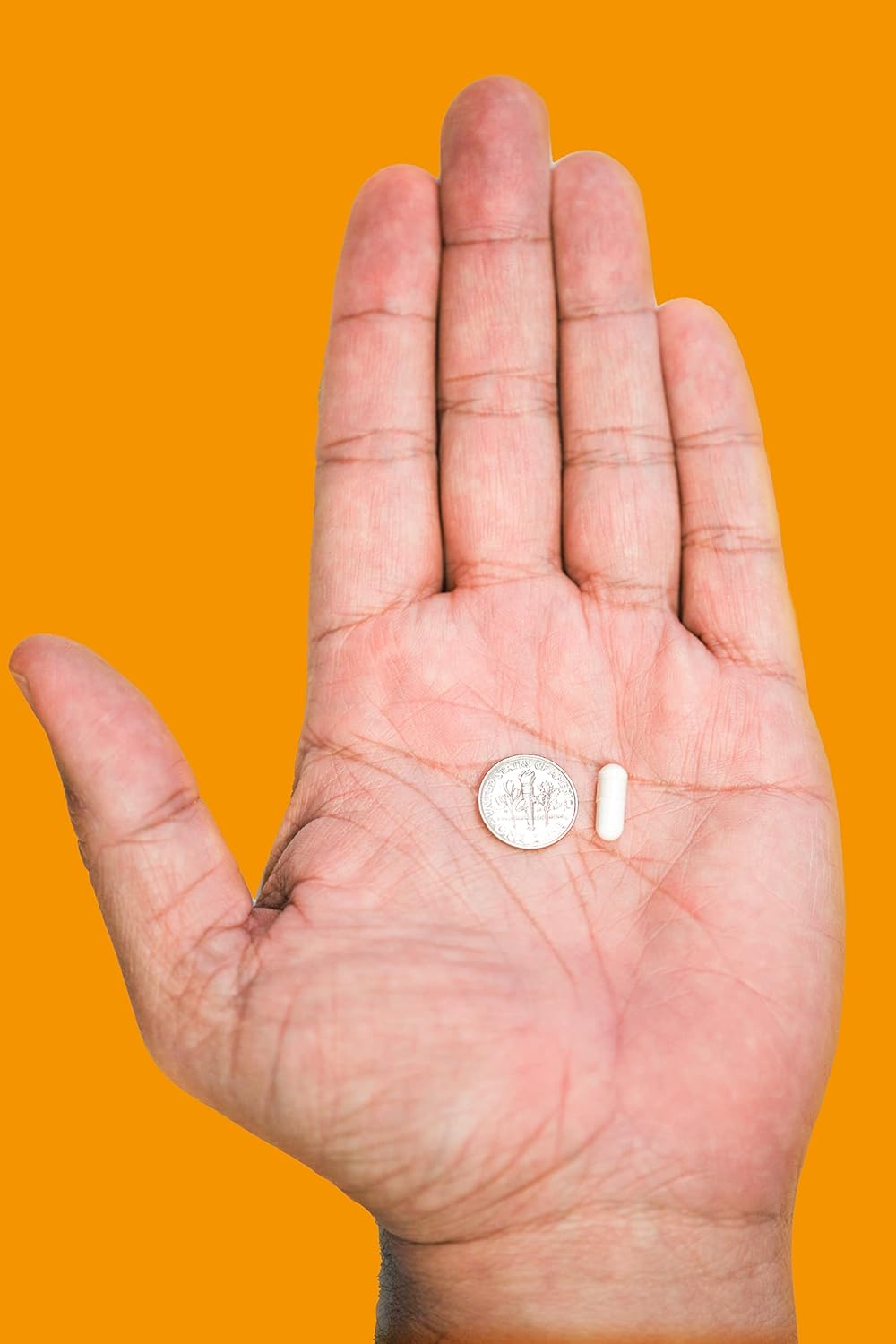 Suplemento de enfoque de apoyo cerebral 100 mg 120 unidades