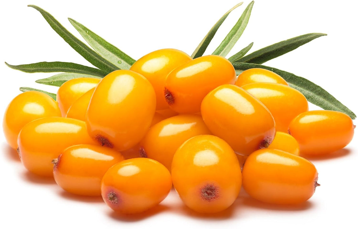 Aceite de Espino Cerval de Mar Orgánico, Supercrítico CO2