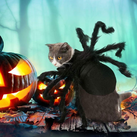 Disfraces de araña de Halloween para perro talla S