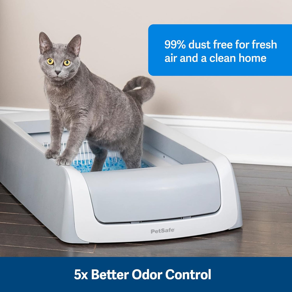 Arena para gatos que no se aglutina de acción con cristal