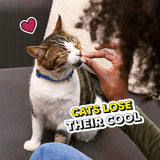 Paquete surtido de golosinas para gatos, 4 bolsas de 6.3 oz