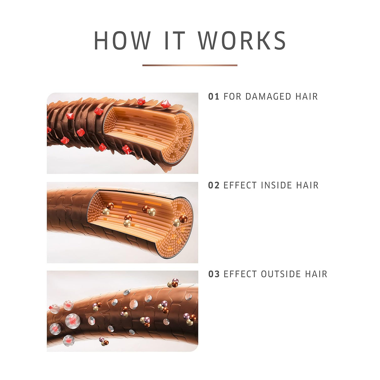Shampoos y Acondicionadorespara reparación de cabello dañado