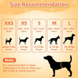 Pet Soft, pañales desechables para mascotas, perros, cachorros, 12 unidades, 72 pañales, XXS--XL, XXS