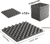 Paneles Acústicos Aislantes 12pcs - Espuma Absorbente 1x12x12