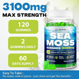 Gomitas de Sea Moss Irish 3100mg, 120 unidades