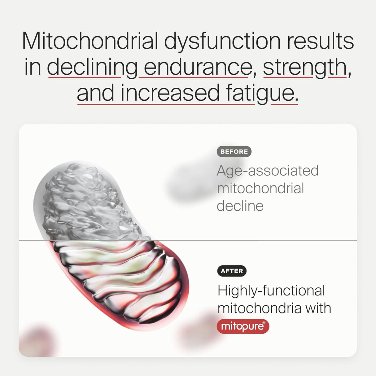 Mitopure Urolithin A Suplemento, Apoyo Salud Envejecimiento, 60 Cápsulas