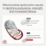 Mitopure Urolithin A Suplemento, Apoyo Salud Envejecimiento, 60 Cápsulas