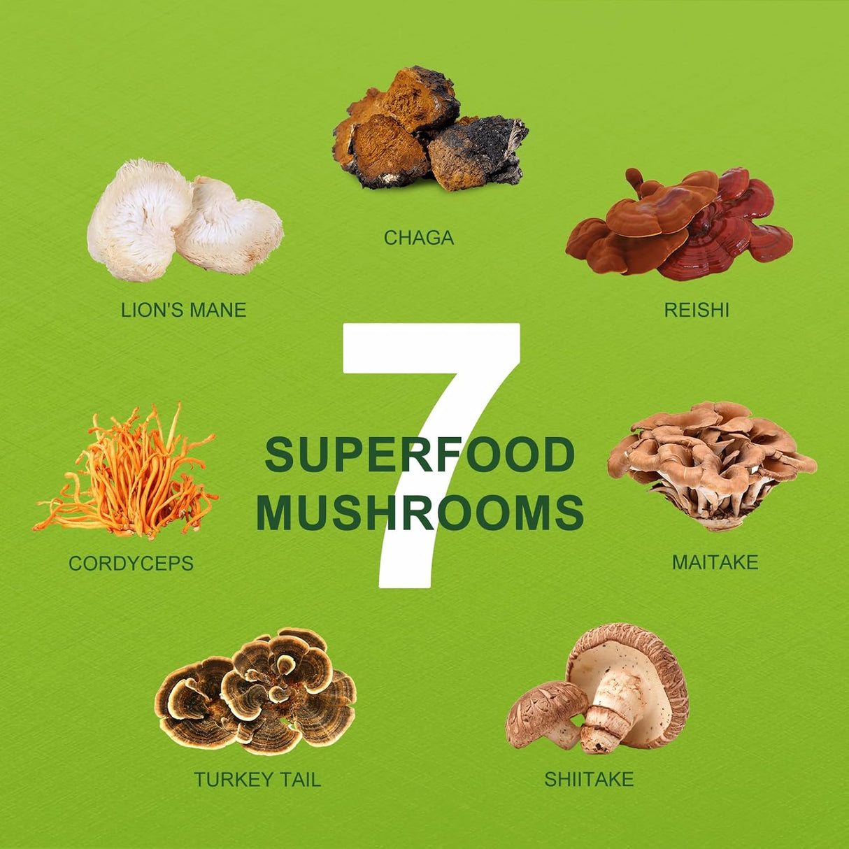 ORGFUN Set de Matcha con 7 Superfoods, MCT, Sin Azúcar 4.58oz