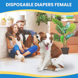 IMMCUTE Pañales para perras,30unidades,pañales súper absorbentes