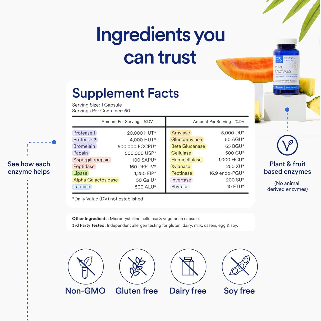 Suplementos Enzimas digestivas puras sin gluten   60 cáp