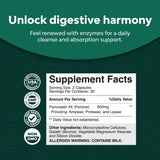 Suplementos Enzimas digestivas de pancreatina para la salud