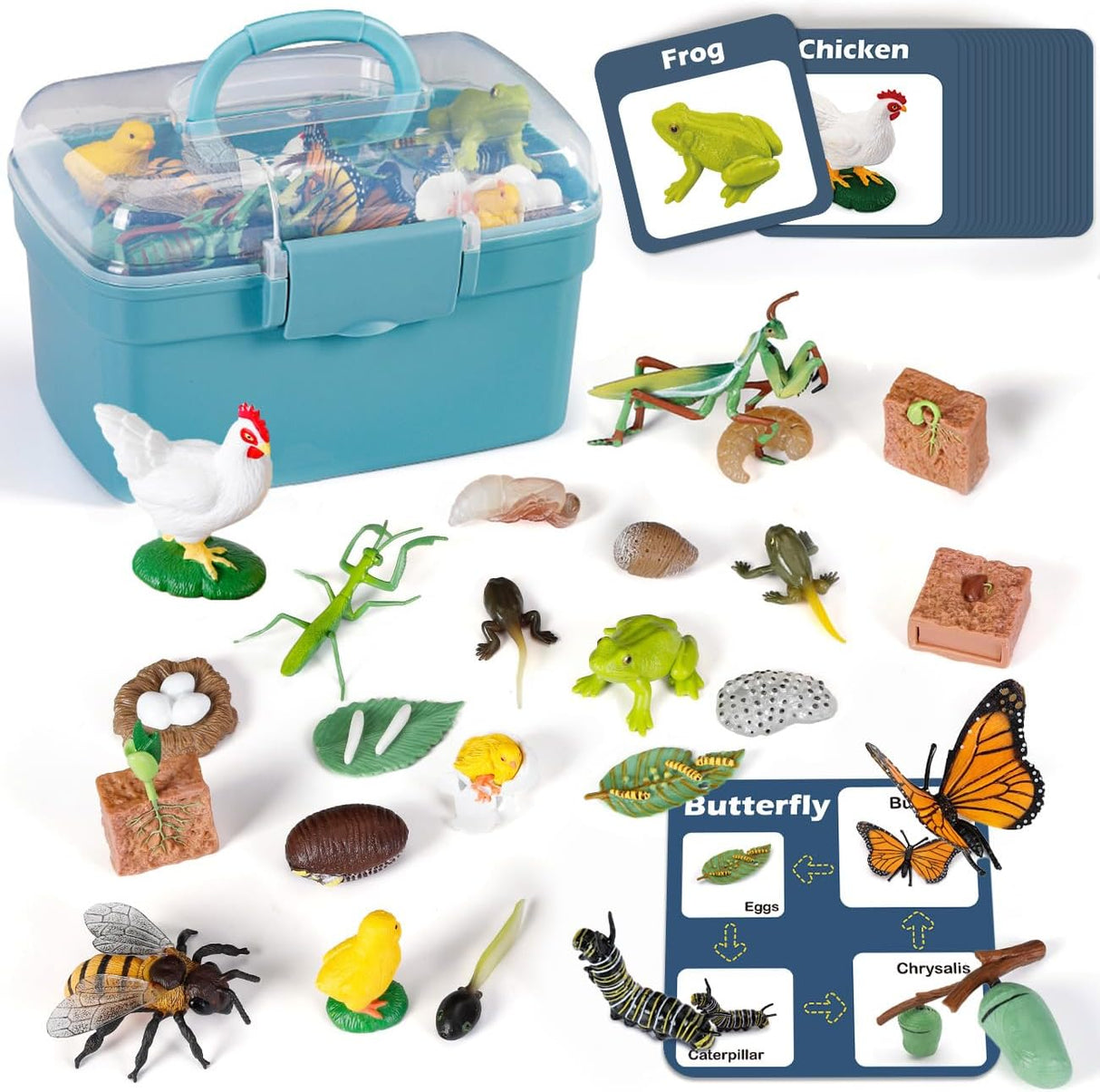 Juguetes de Ciclo de Vida para Niños - Kits de Ciencia 25 Pzs