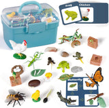 Juguetes de Ciclo de Vida para Niños - Kits de Ciencia 25 Pzs