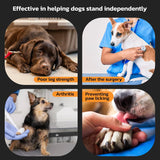 Protector Antideslizante para Patas de Perro, M (11-20lbs)