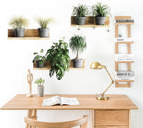 Vinilos Decorativos Maydahui Plantas Tropicales 3D 34x31 Pulgadas