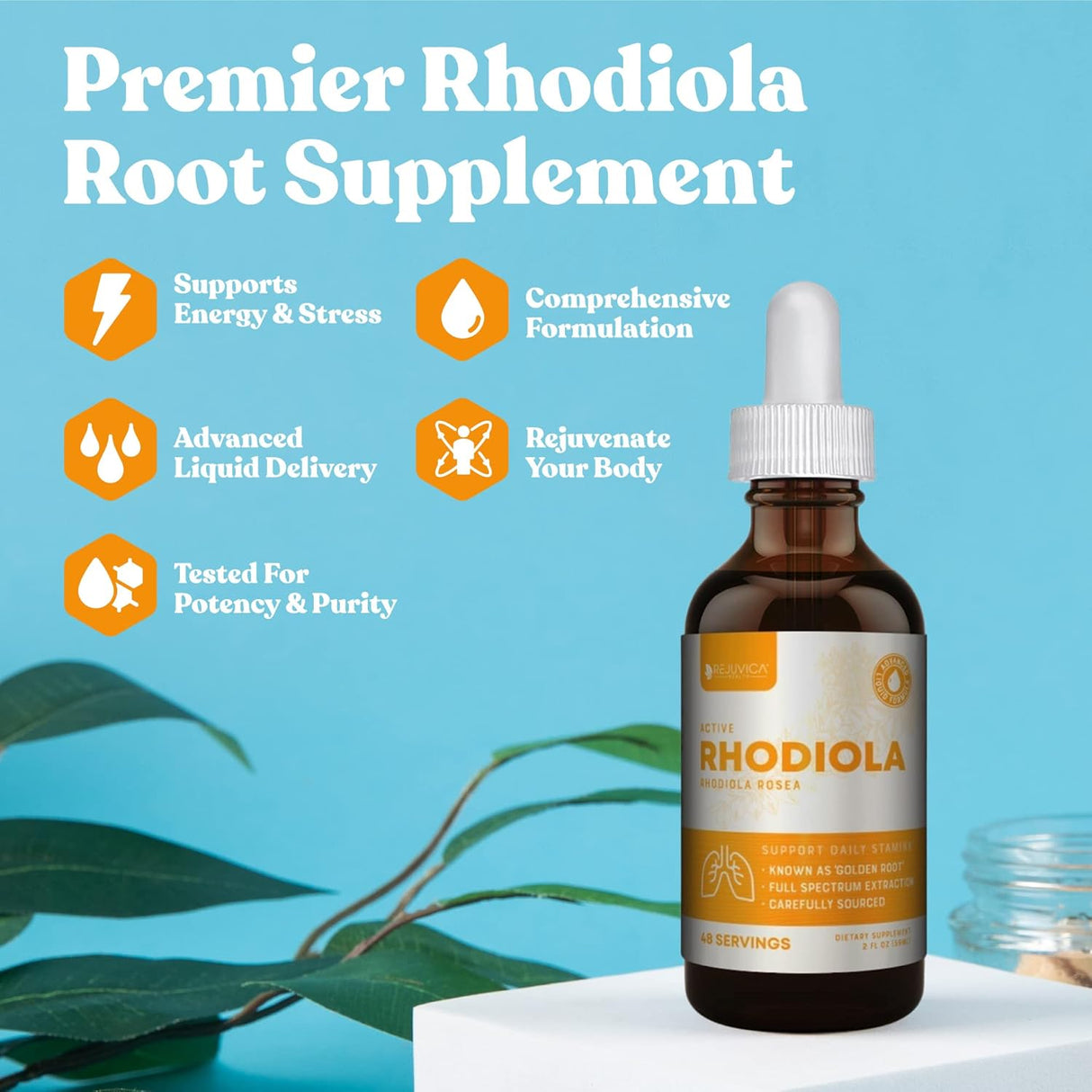 Suplementos Rhodiola - Extracto de raíz de  con rosavinas