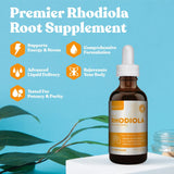 Suplementos Rhodiola - Extracto de raíz de  con rosavinas
