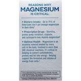 Suplemento de óxido  magnesio 483 mg 2pack x 120 tab