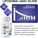 Suplemento True NAD Plus para reparación del ADN y refuerzo