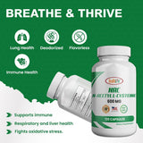 N-Acetil L-Cisteína 600mg - HealthLife, 120 cápsulas, No GMO