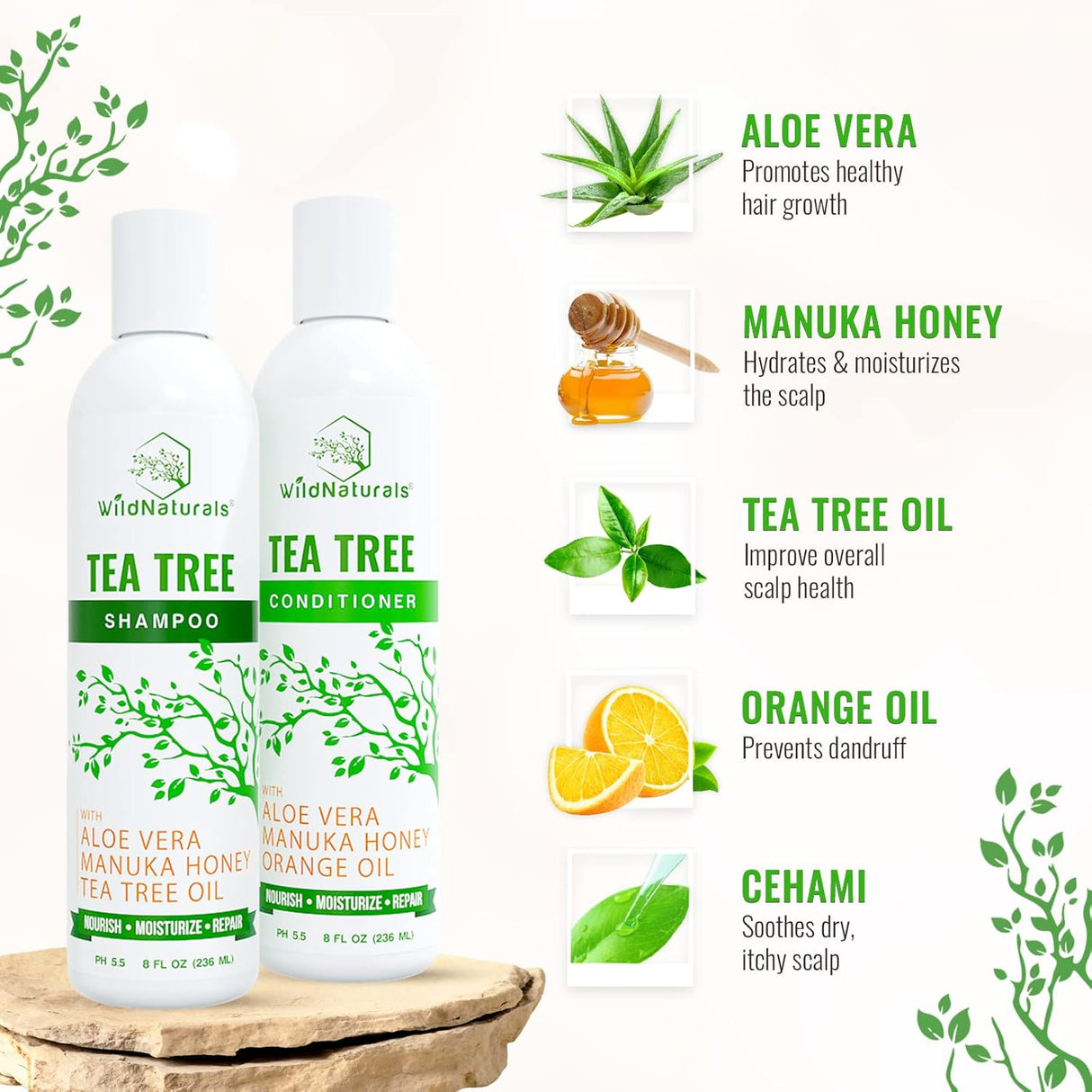 Juego de champú y acondicionador de aceite de árbol