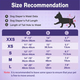 Pet Soft Pañales desechables para perras –  20 pañales