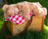 Osito de Peluche Deluxe de Princess Paradise - Baby Snuggle Bear