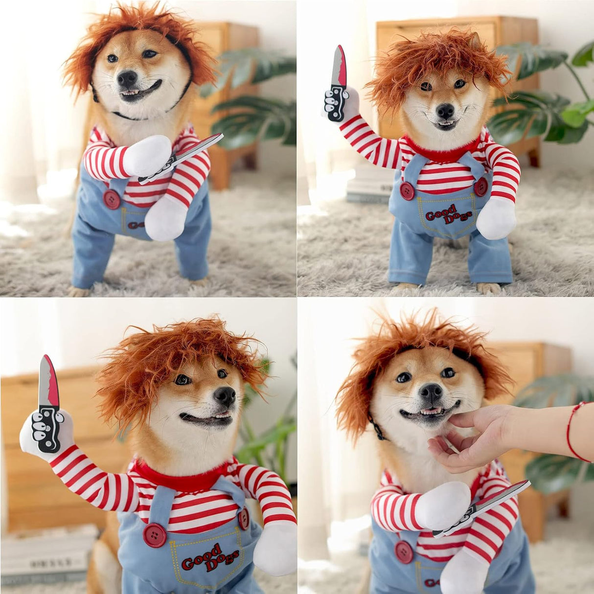 Disfraces de muñeca mortal para mascotas talla XL