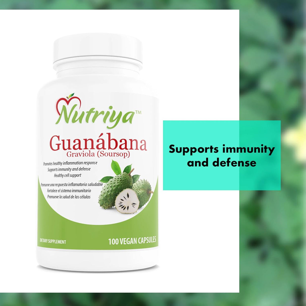 Guanábana (Graviola) - Antioxidante y Refuerzo Inmunológico