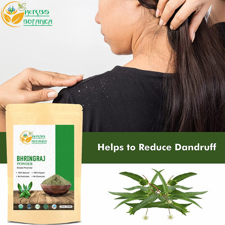 Polvo orgánico Bhringraj Eclipta Alba para cabello radiante