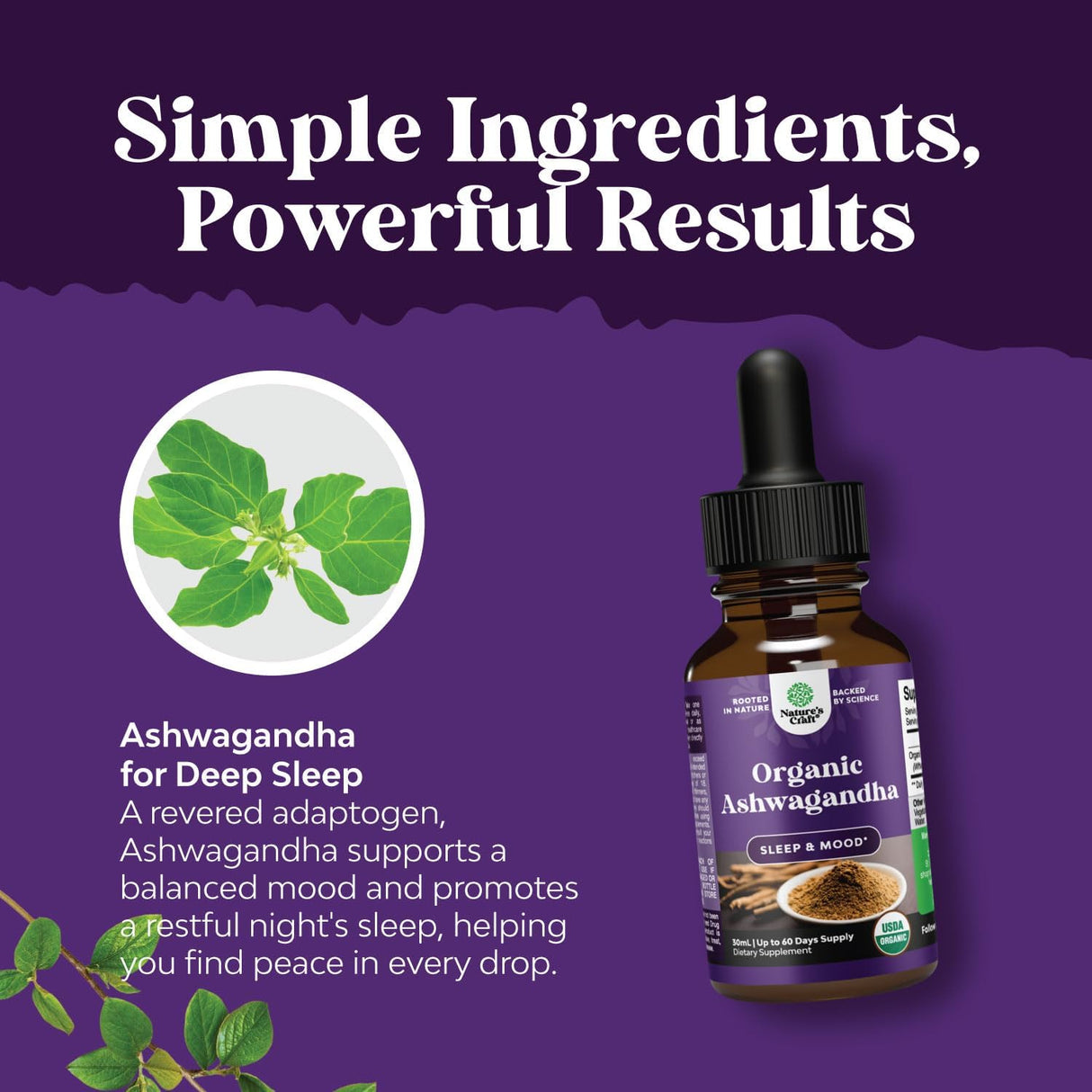 Gotas de Ashwagandha Orgánica USDA - Adaptógeno Sin Azúcar 2 Pck