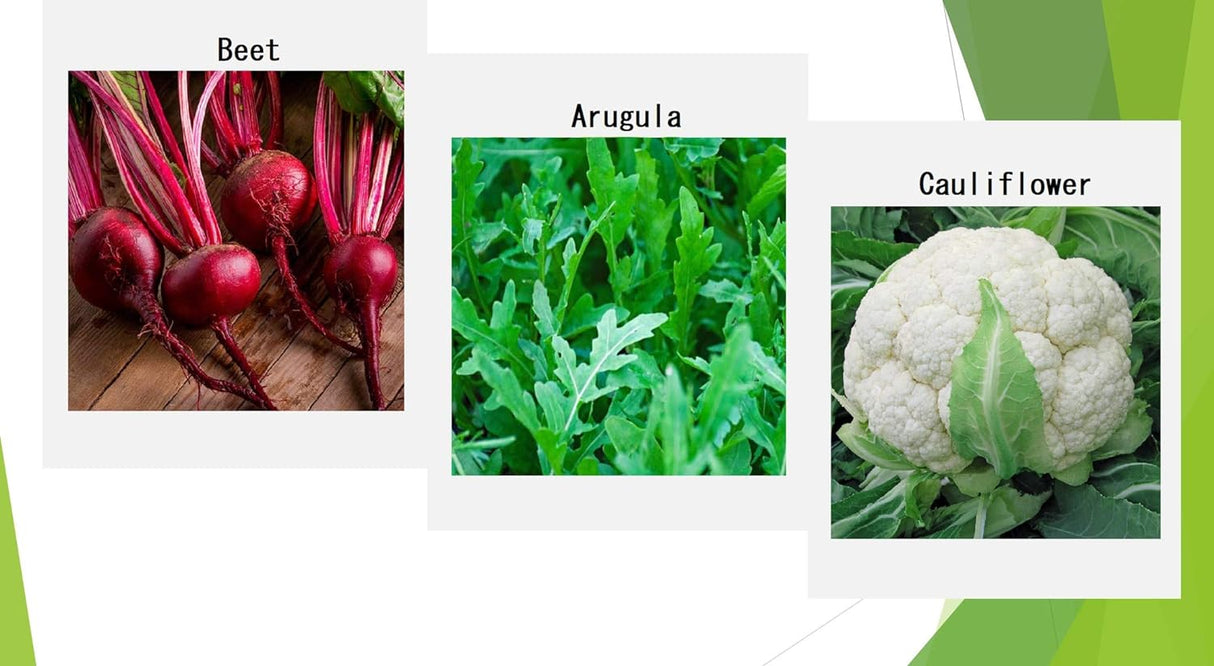Semillas de Verduras de Invierno Orgánicas - 12 Variedades
