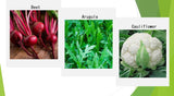 Semillas de Verduras de Invierno Orgánicas - 12 Variedades