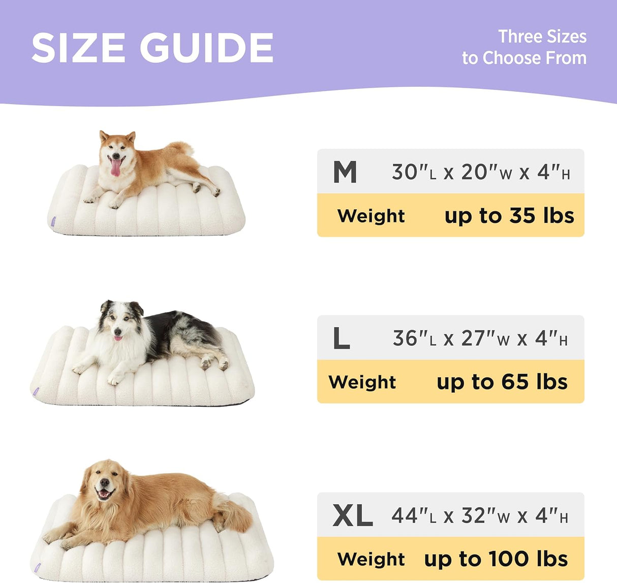 Lesure Cama ortopédica de espuma para perros grandes blanco