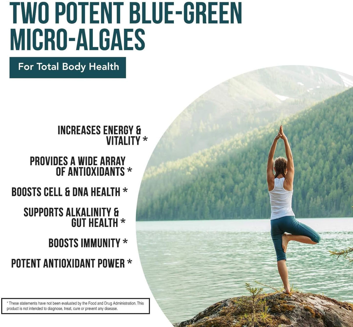 Tabletas de Espirulina y Clorella Orgánicas – Mezcla 50/50