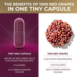 Suplementos Alimenticios Resveratrol de piceida de absorción