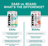 Polvo EAA + BCAA para Recuperación y Crecimiento Muscular