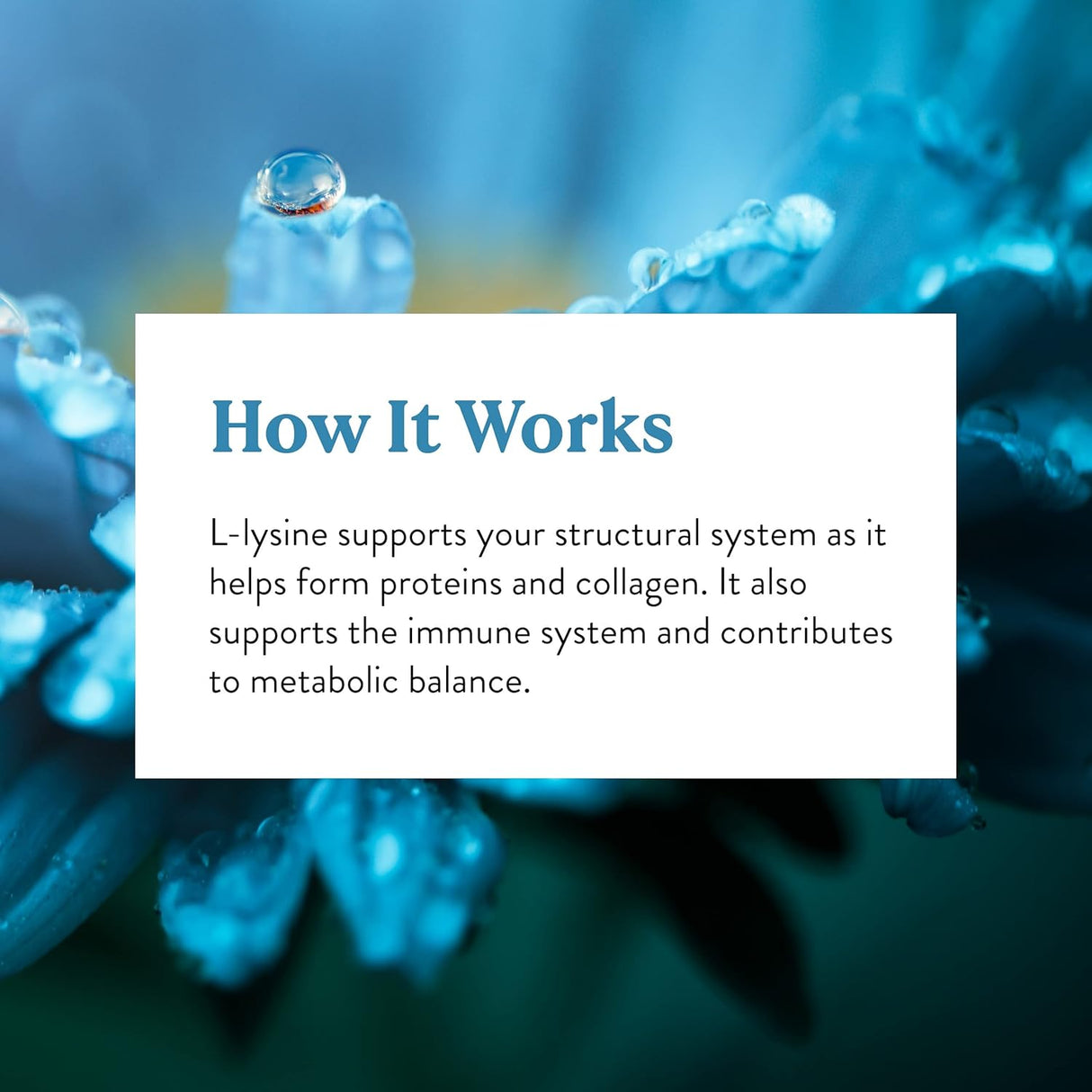 Nature's Sunshine L-Lysina, 100 cápsulas, aminoácidos esenciales