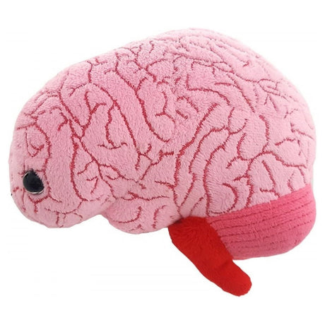 Peluche de órgano cerebral adorable regalo de biología