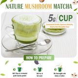 Polvo de Matcha con Hongos Superfood, 8 Oz, Sabor Delicioso