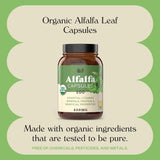 Suplemento Hoja de alfalfa pura (Medicago Sativa)  100 cáp