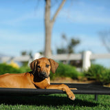 Cama Elevada para Perros Veehoo, Resistente y Lavable, CWC1803-L