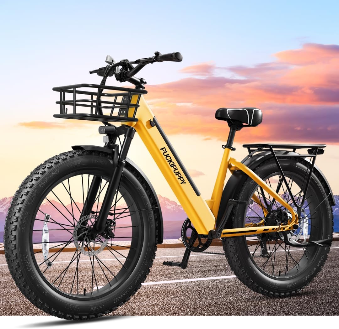 Bicicleta eléctrica Samoyed 960W, 48V, 15AH, 28MPH, 26 fat tire
