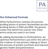 PerfectAmino Powder de BodyHealth, BCAA/EAA, 120 raciones