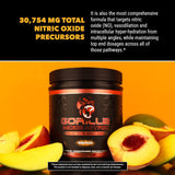 Suplementos Alimenticios de preentrenamiento