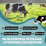 Suplemento de Calostro Bovino Liposomal 2500mg - 60 Porciones