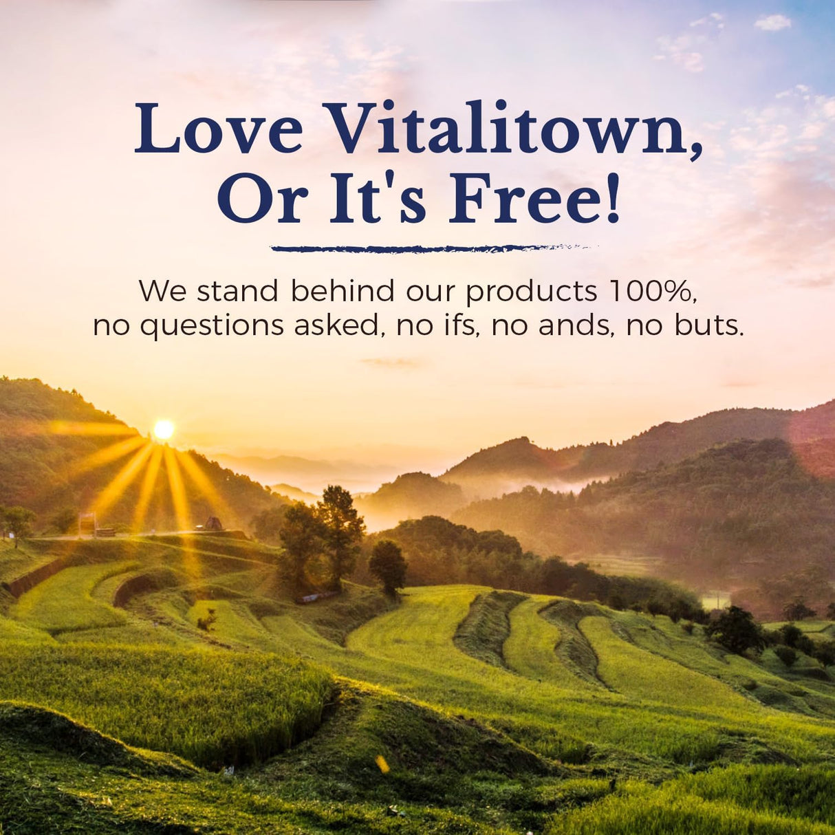 VITALITOWN Glucosamina condroitina MSM colágeno